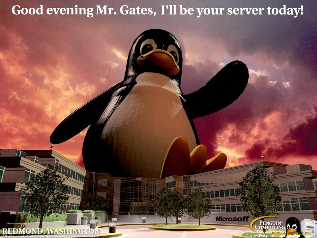 linux, 
